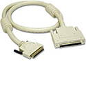 Solo-4 Expansion Box SCSI Cable