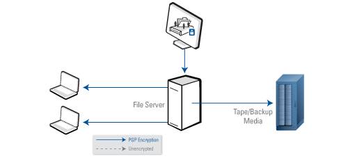 PGP NetShare